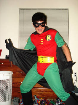 Robin Costume