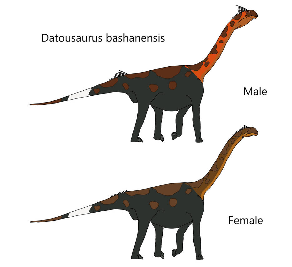 Datousaurus bashanensis by Draco300 on DeviantArt