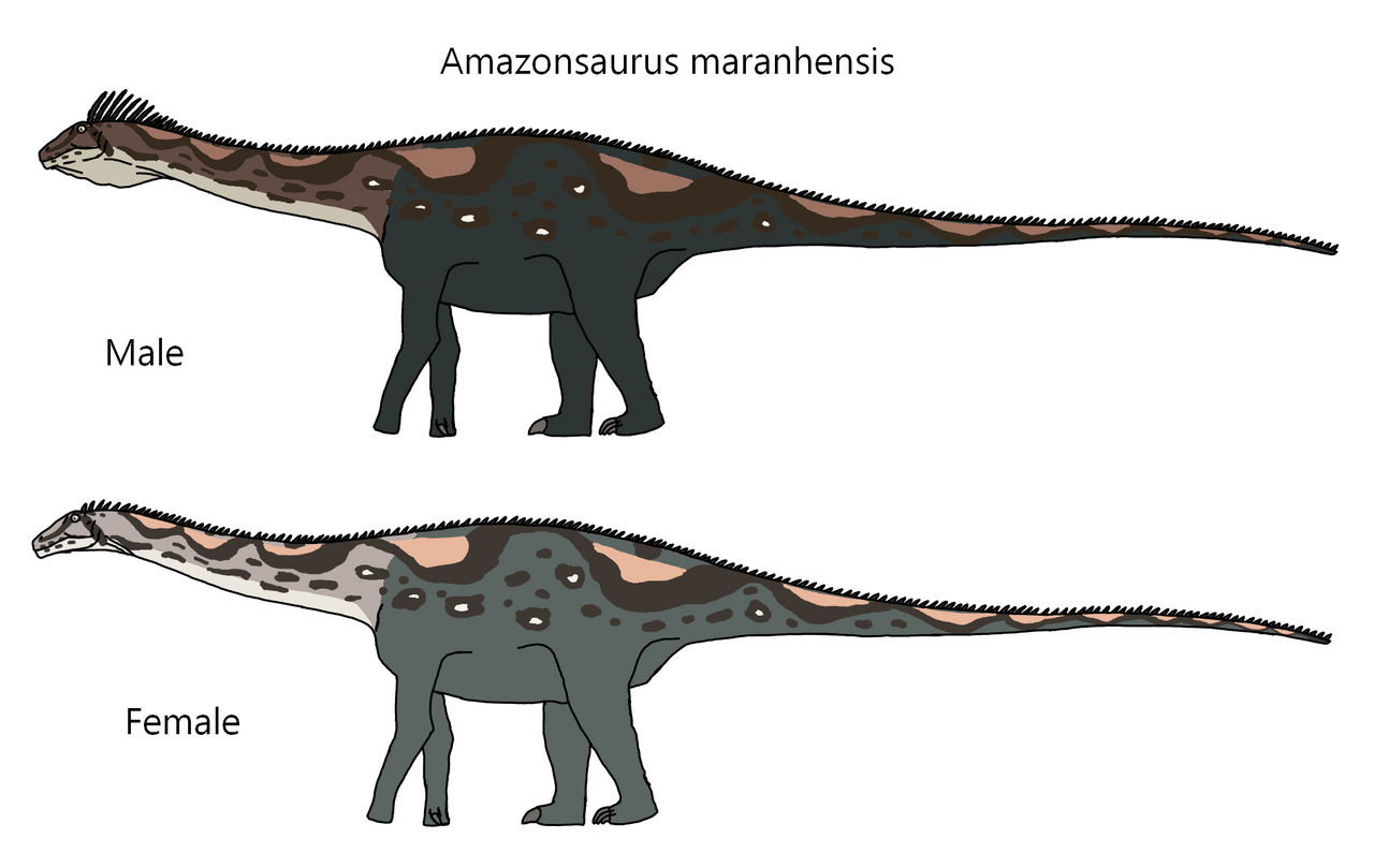 Amazonsaurus maranhensis by Draco300 on DeviantArt