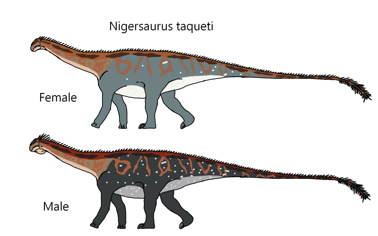 Nigersaurus Predators Nigersaurus taqueti by Draco300 on DeviantArt