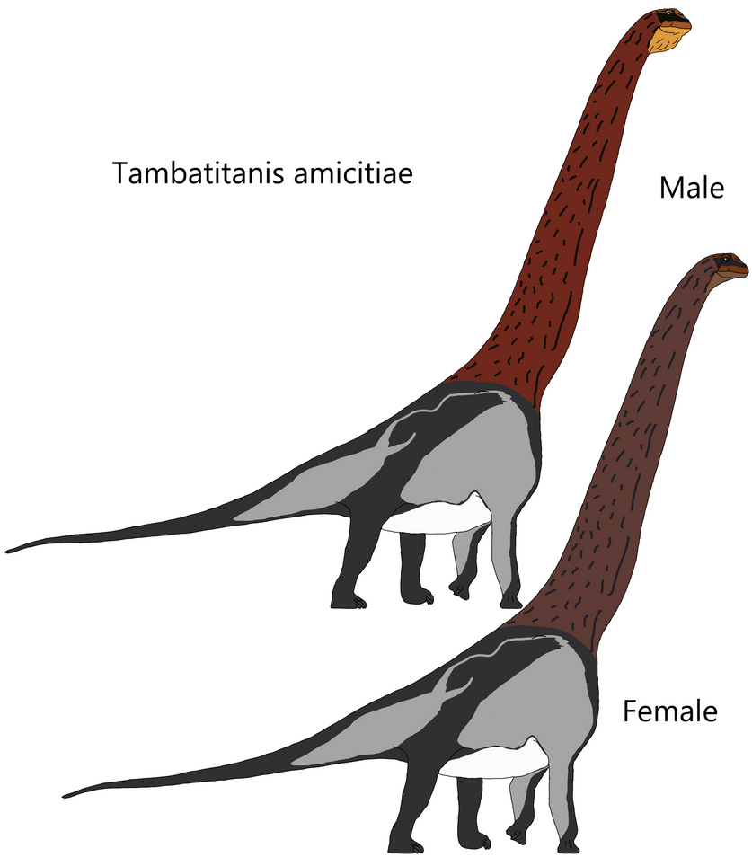 Tambatitanis amicitiae by Draco300 on DeviantArt