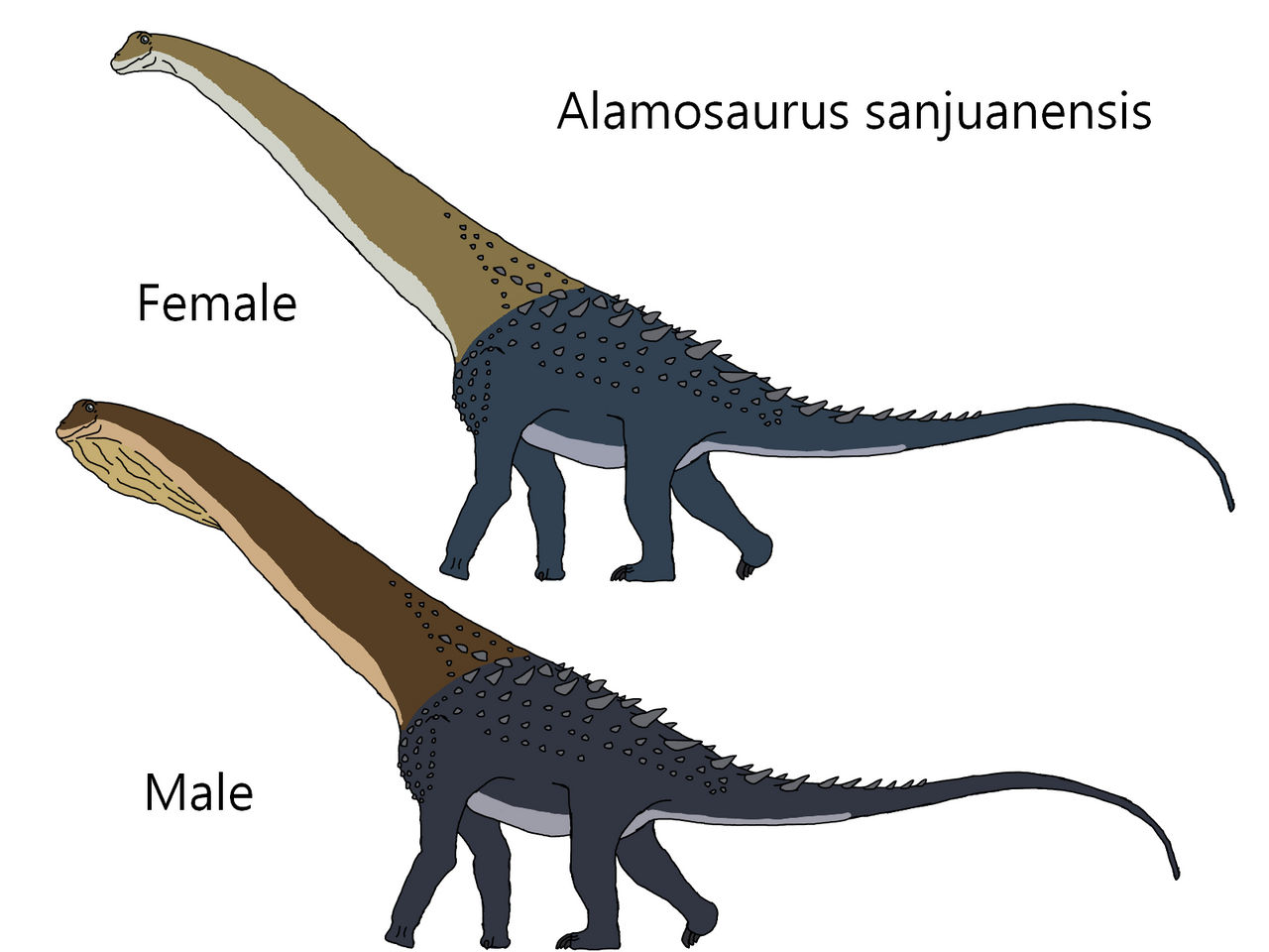Alamosaurus Sanjuanensis By Draco300 On DeviantArt alamosaurus-sanjuanensis-by-draco300-on-deviantart