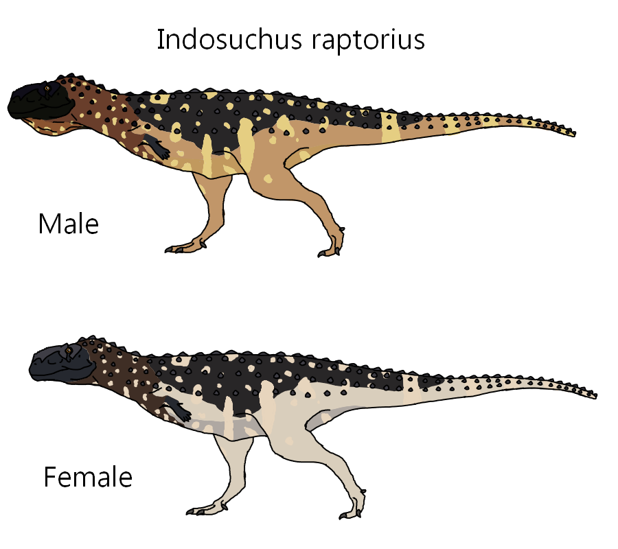 Indosuchus raptorius by Draco300 on DeviantArt
