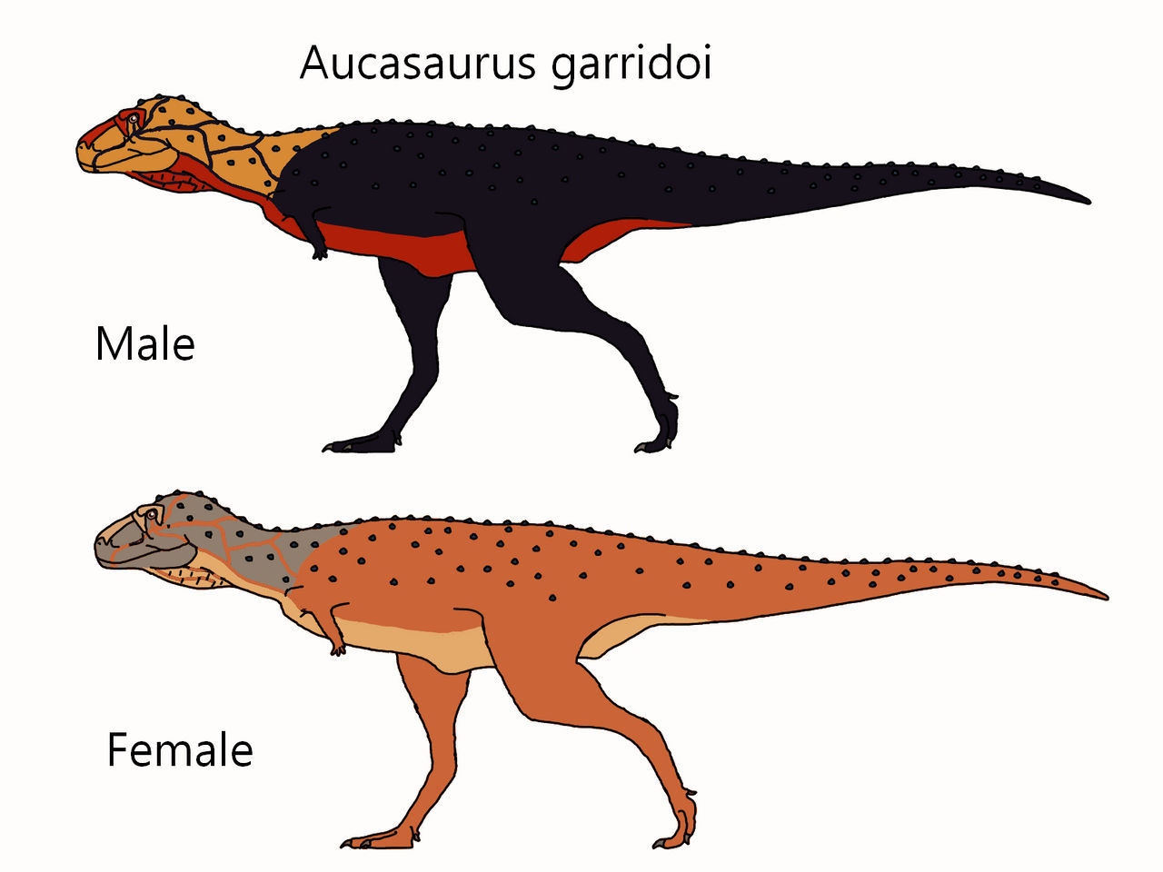Aucasaurus Aucasaurus garridoi by Draco300 on DeviantArt