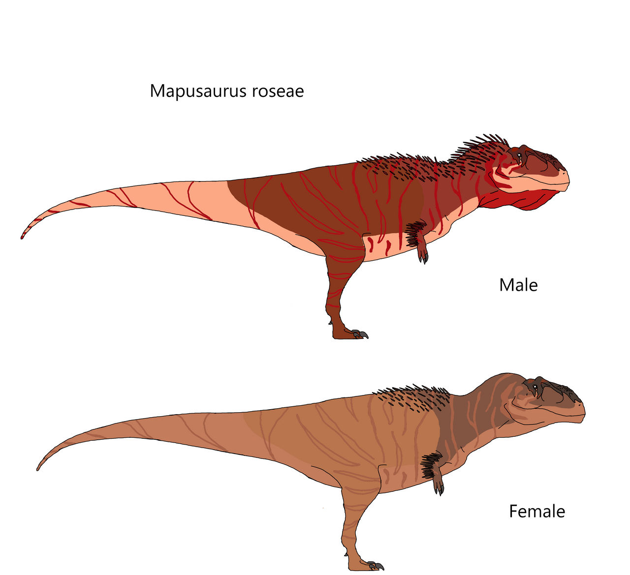 Mapusaurus roseae by Draco300 on DeviantArt