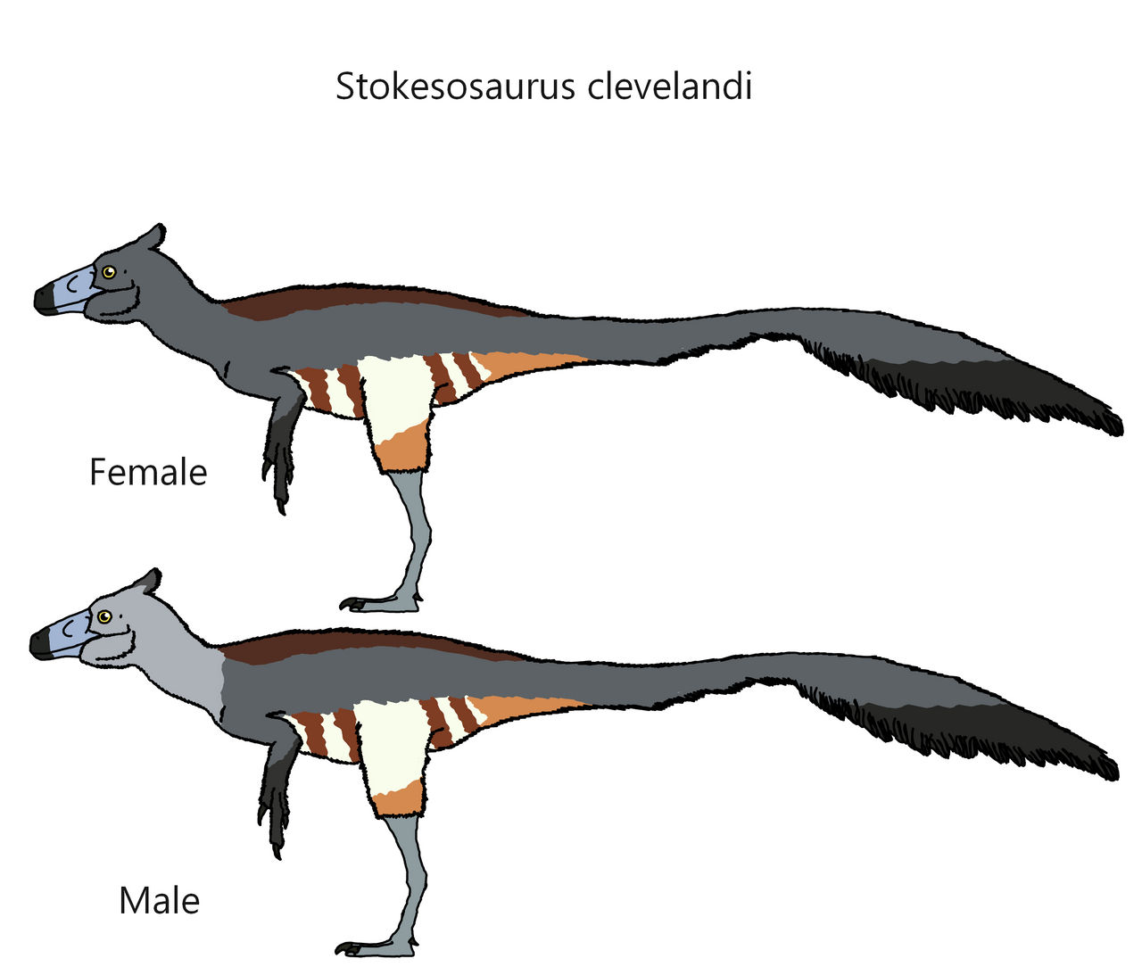 Stokesaurus Stokesosaurus clevelandi by Draco300 on DeviantArt