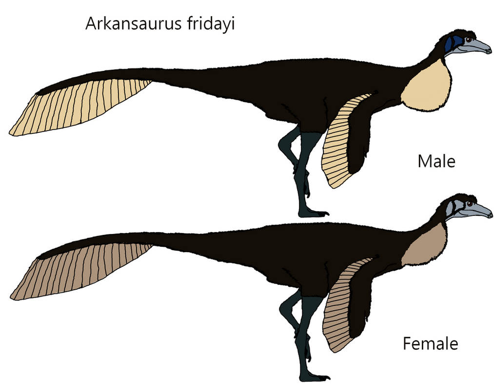Arkansaurus Arkansaurus fridayi by Draco300 on DeviantArt