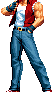 Terry Bogard