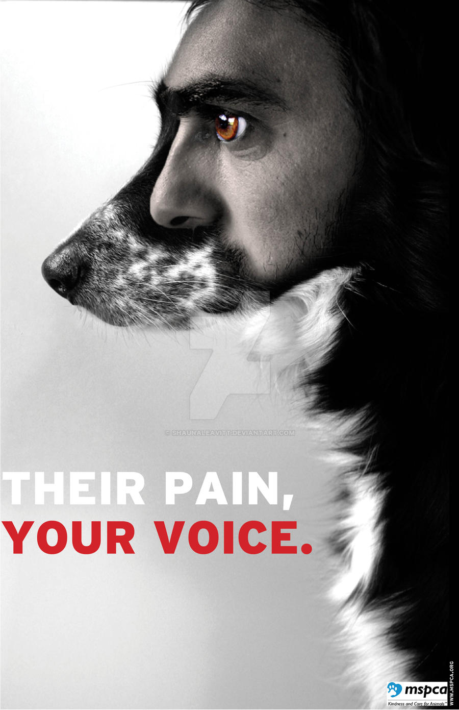 Animal Rights Poster 1 by ShaunaLeavitt on DeviantArt