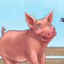 Charlotte's Web
