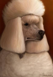 Poofy Poodle Portrait