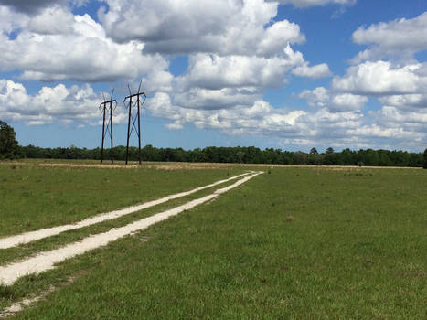 Trail at Power Lines