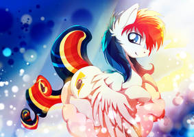 Celbrations - 5000 Watchers