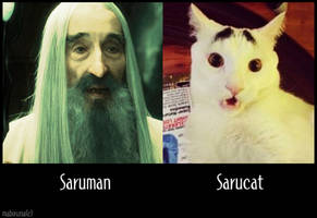 Sarucat