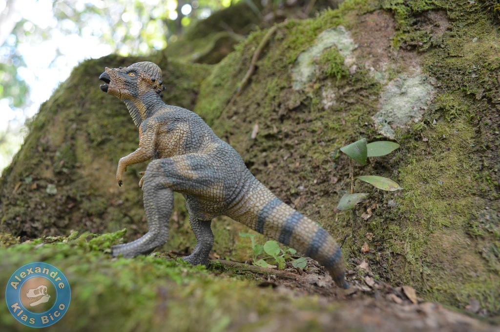 Pachycephalosaurus