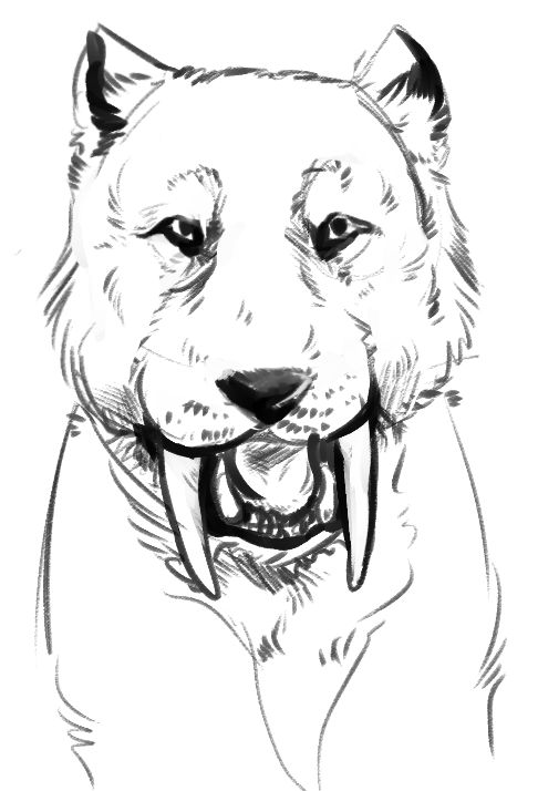 STiger by ATTACK--DOG on DeviantArt