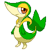 Snivy