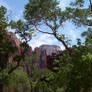 Zion Plateau