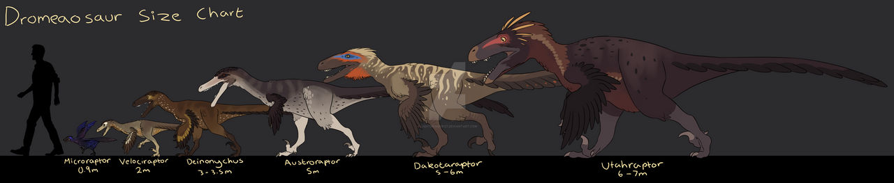 All Raptor Sizes Raptor Size Chart by LightBringer127 on DeviantArt