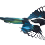 Magpie