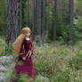 Goldilocks in the forest