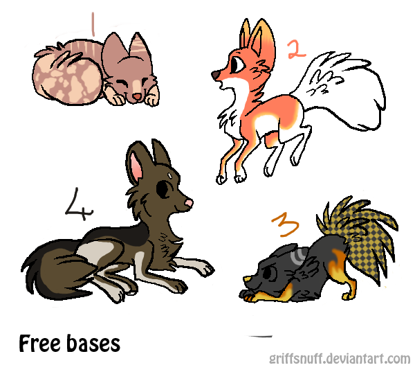 Bunch Adopts