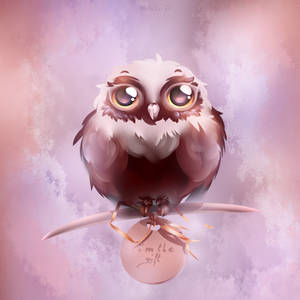 'owl' the gift