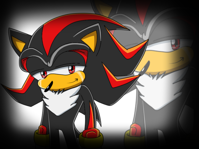 Shadow The Hedgehog Llorando Sonic X