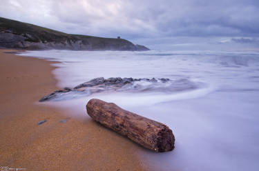 A present from the sea.