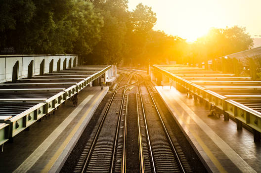 Railroads at sunset