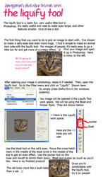 Quick Learn:Liquify Tool