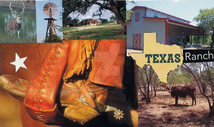 Deviantart Texas Texas by emilycook10 on DeviantArt