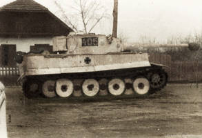 Tiger I
