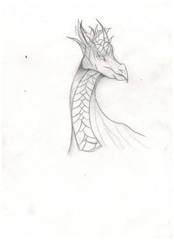 Pencil dragon by Katherine