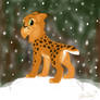 Snow and lynx