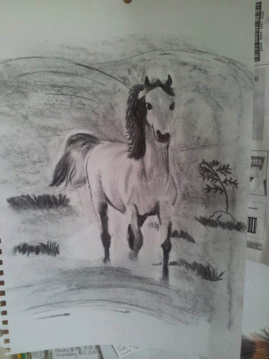 My Lovely Horse