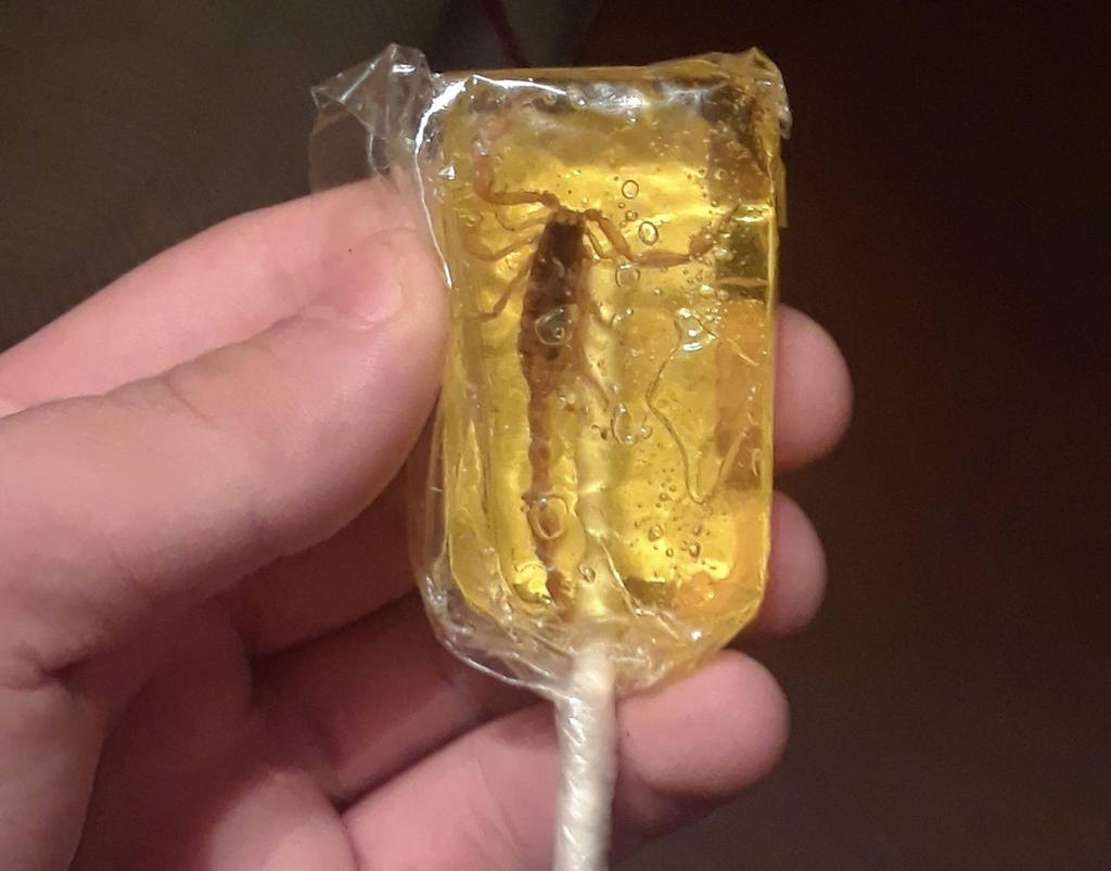 scorpion pop