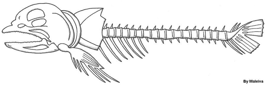 Esqueleto de un pez