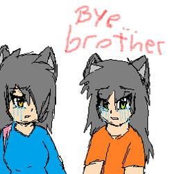 Bye Brother