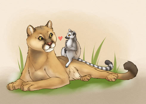 Cougar and Lemur