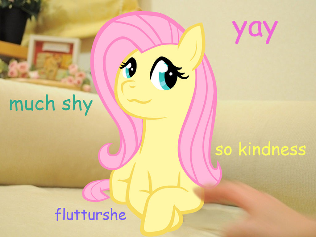 Flutterdoge on couch