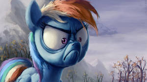 Rainbow Dash Is Not Angry