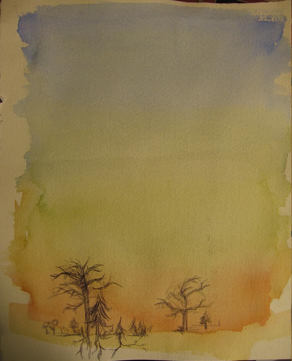 Sunset trees