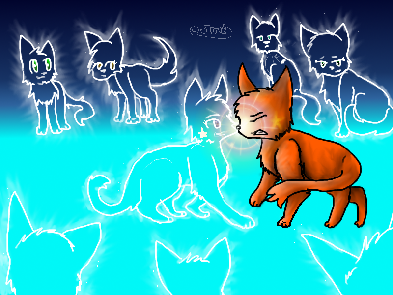 Warrior Cats RP Wiki (1 year anniversary picture) by LoveAndBelieve on  DeviantArt