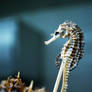 Seahorse on a Stick