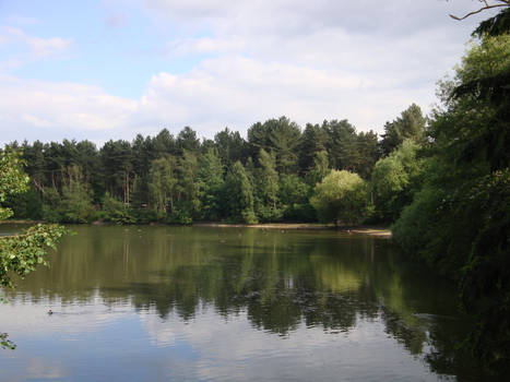 Lake - Elveden Forest