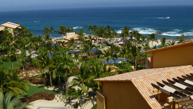 The Waters of Los Cabos