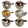 Canine Adopt Batch 2