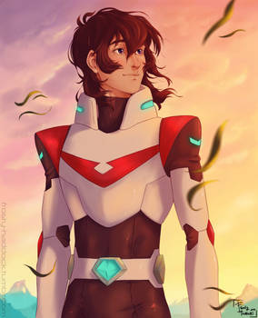 Red Paladin