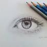 Eye